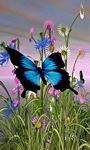 pic for Butterfly In Nature 480x800